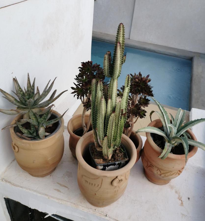 Riad Bab Aylen - Piscine Roof Top Chauffee マラケシュ エクステリア 写真