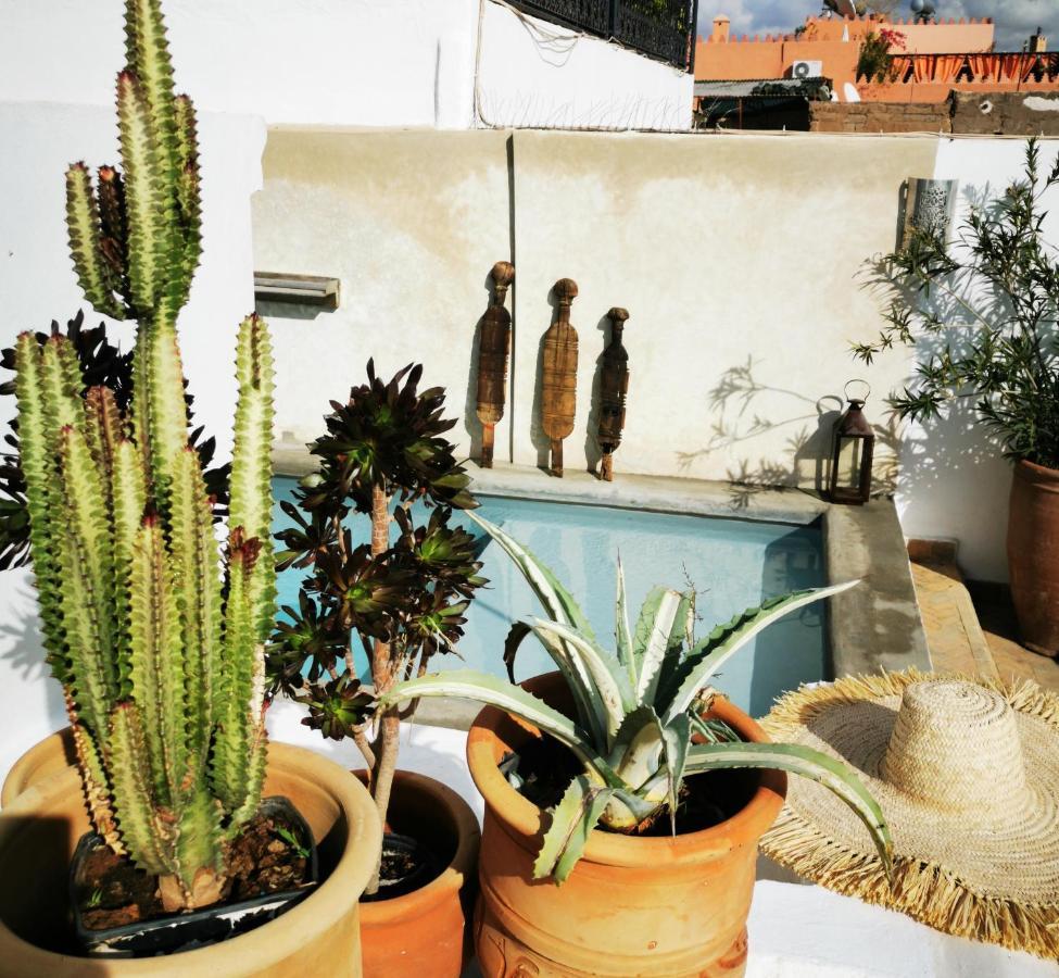 Riad Bab Aylen - Piscine Roof Top Chauffee マラケシュ エクステリア 写真
